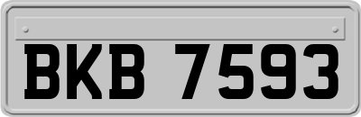 BKB7593