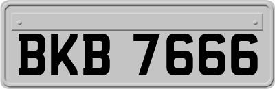 BKB7666