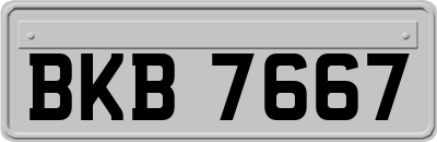 BKB7667