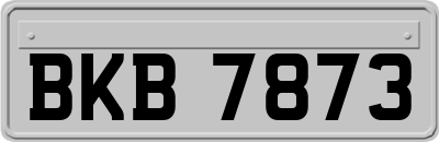 BKB7873