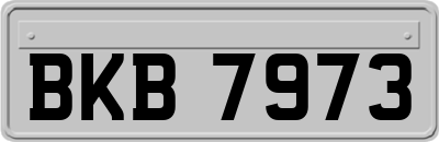 BKB7973