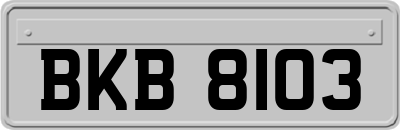BKB8103