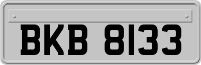 BKB8133