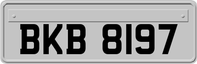 BKB8197