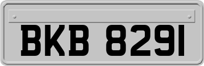 BKB8291
