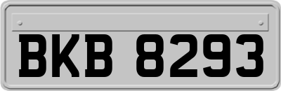 BKB8293