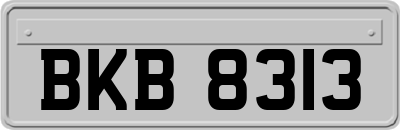 BKB8313
