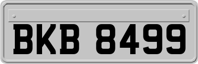 BKB8499