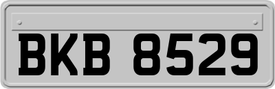 BKB8529