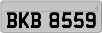 BKB8559