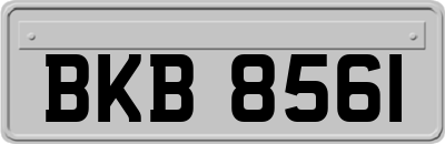 BKB8561