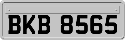 BKB8565