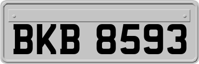 BKB8593