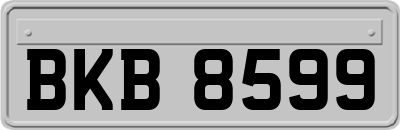 BKB8599