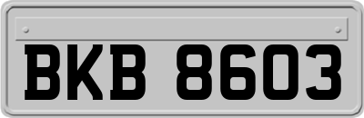 BKB8603