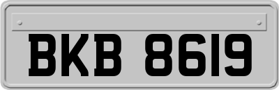 BKB8619
