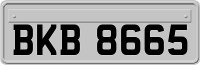 BKB8665