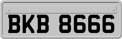 BKB8666