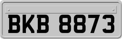 BKB8873