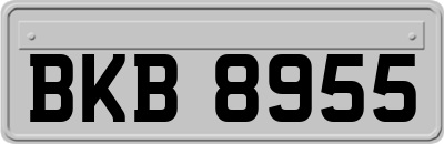 BKB8955