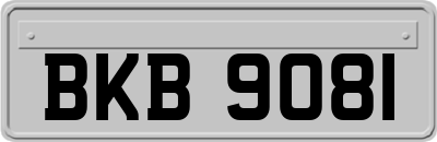 BKB9081