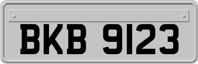 BKB9123