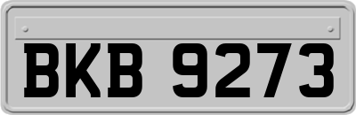 BKB9273