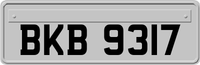 BKB9317