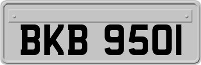 BKB9501