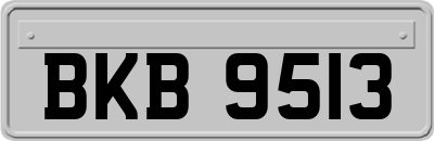 BKB9513