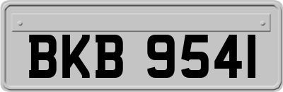 BKB9541
