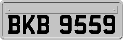 BKB9559