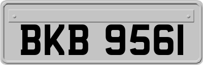 BKB9561