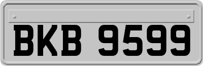 BKB9599