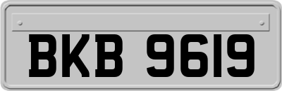 BKB9619