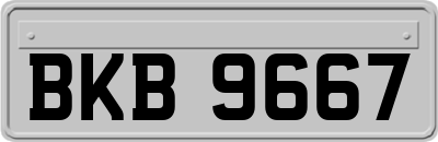 BKB9667