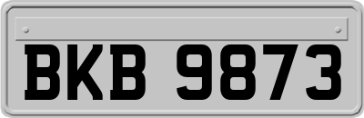 BKB9873