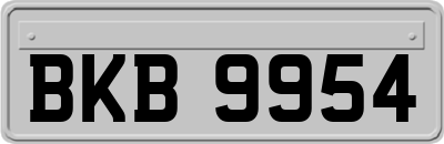 BKB9954