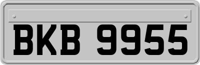 BKB9955