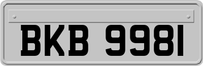 BKB9981