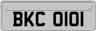BKC0101