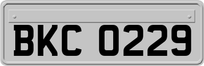 BKC0229