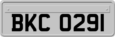 BKC0291