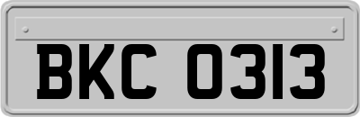 BKC0313