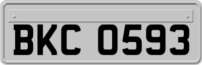 BKC0593