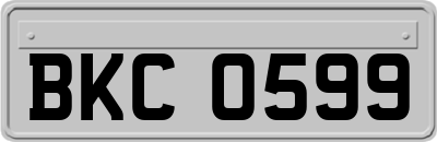 BKC0599