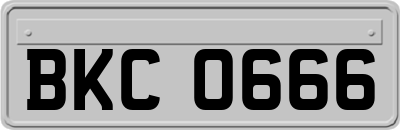 BKC0666