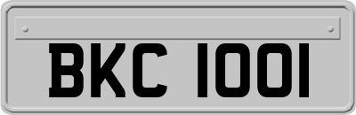 BKC1001