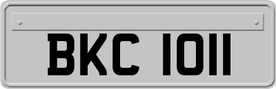 BKC1011