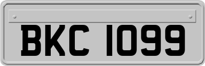 BKC1099
